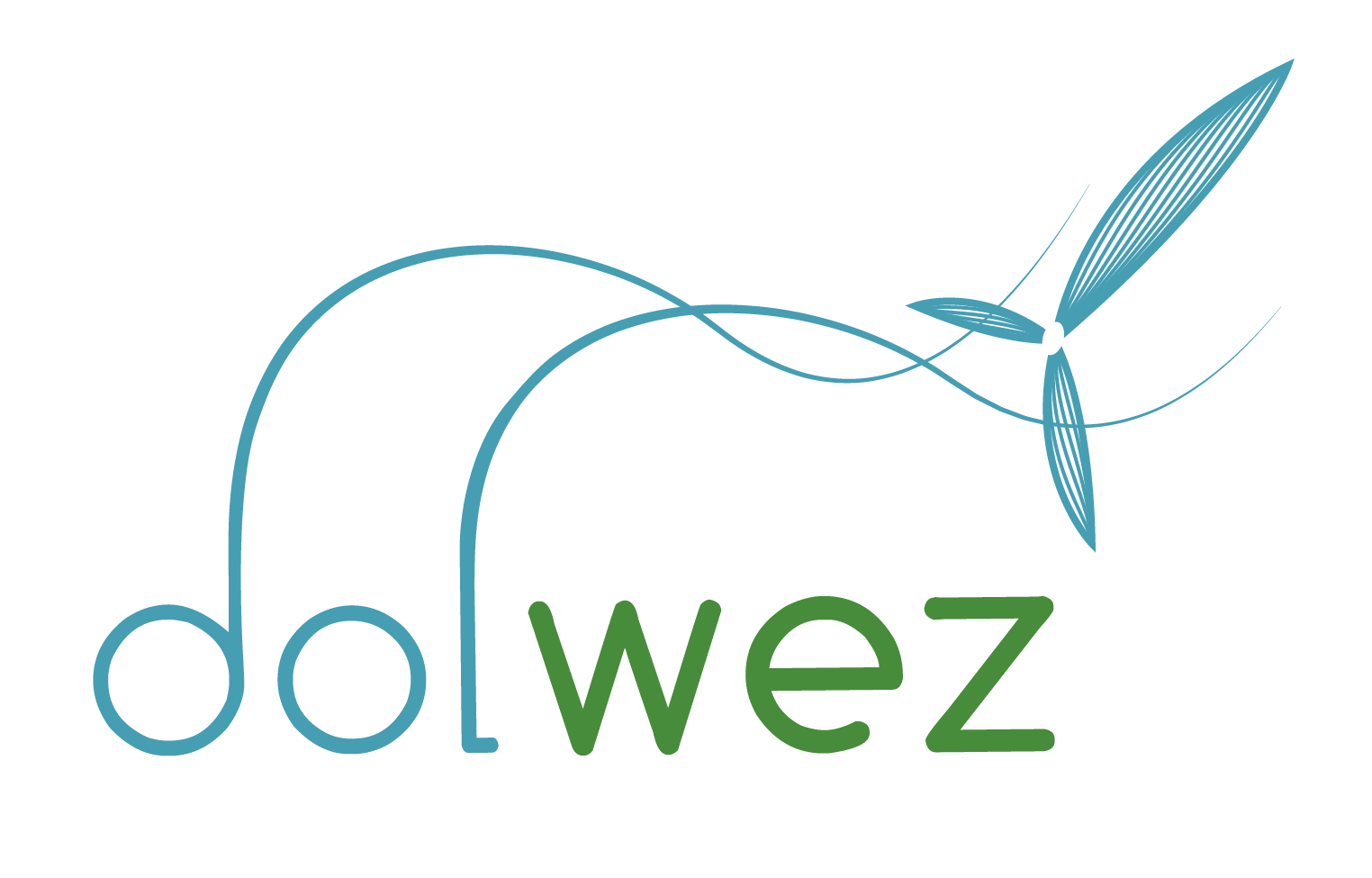 logo-dolwez